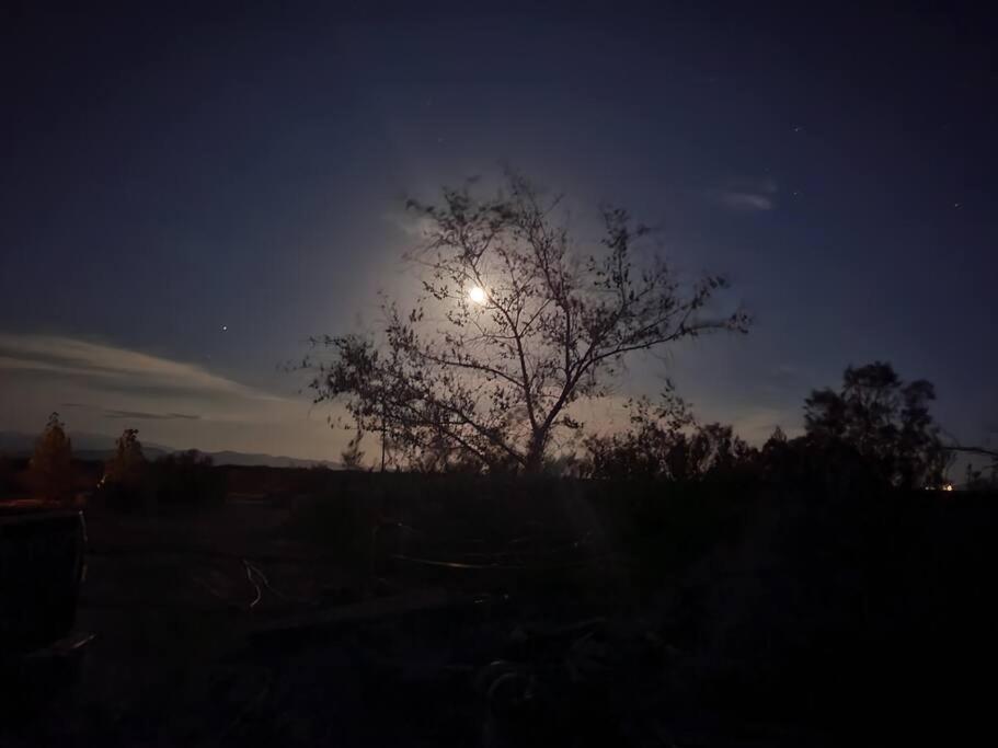 A Rest After A Day In The Death Valley Desert Scranton Esterno foto